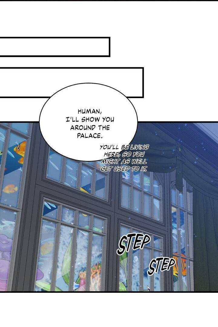 Page 24 of Chapter 42