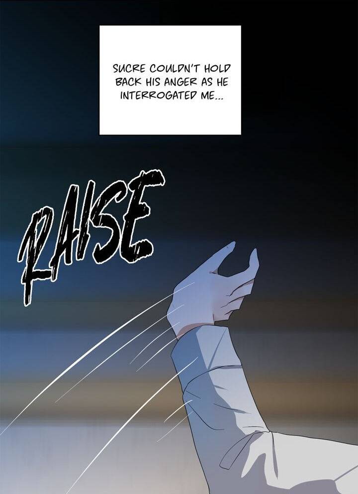 Page 41 of Chapter 81