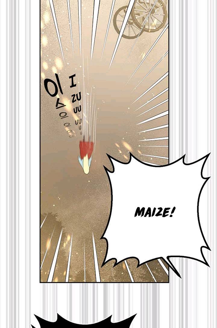 Page 15 of Chapter 40