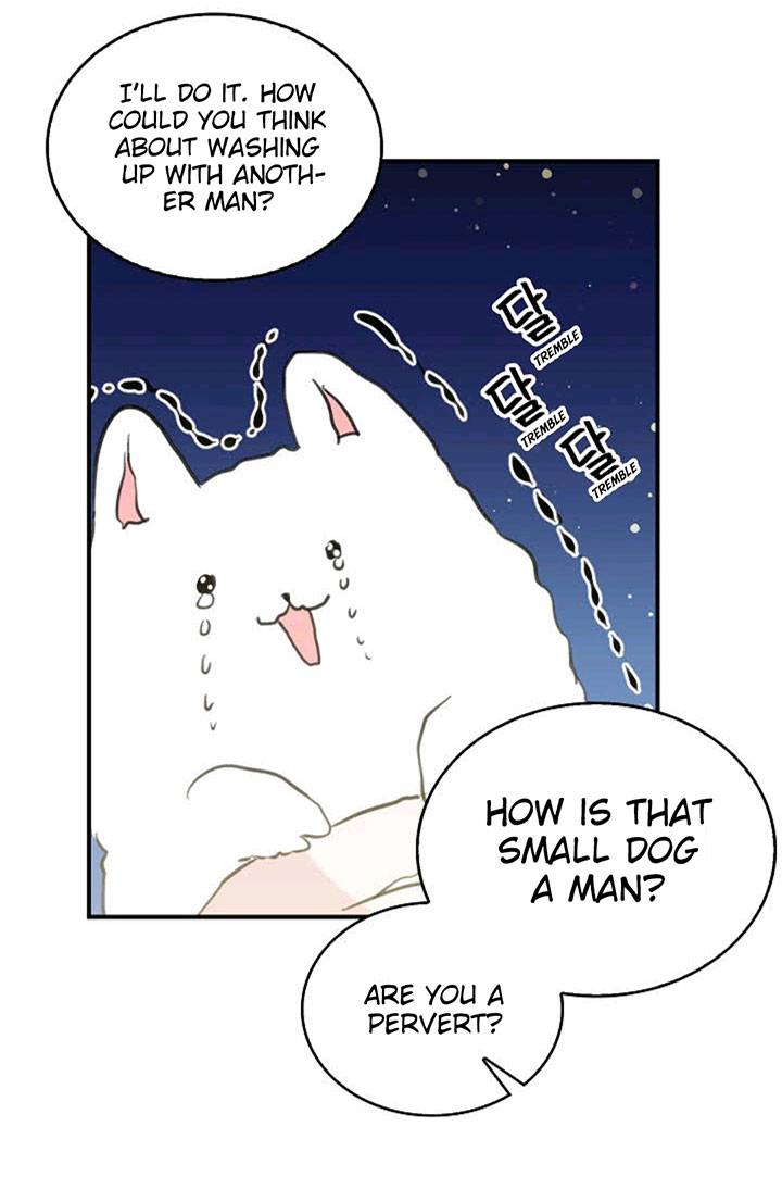 Page 36 of Chapter 40