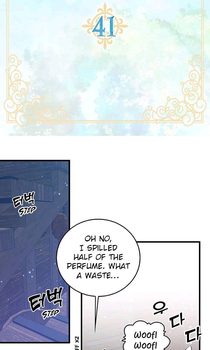 Page 4 of Chapter 41