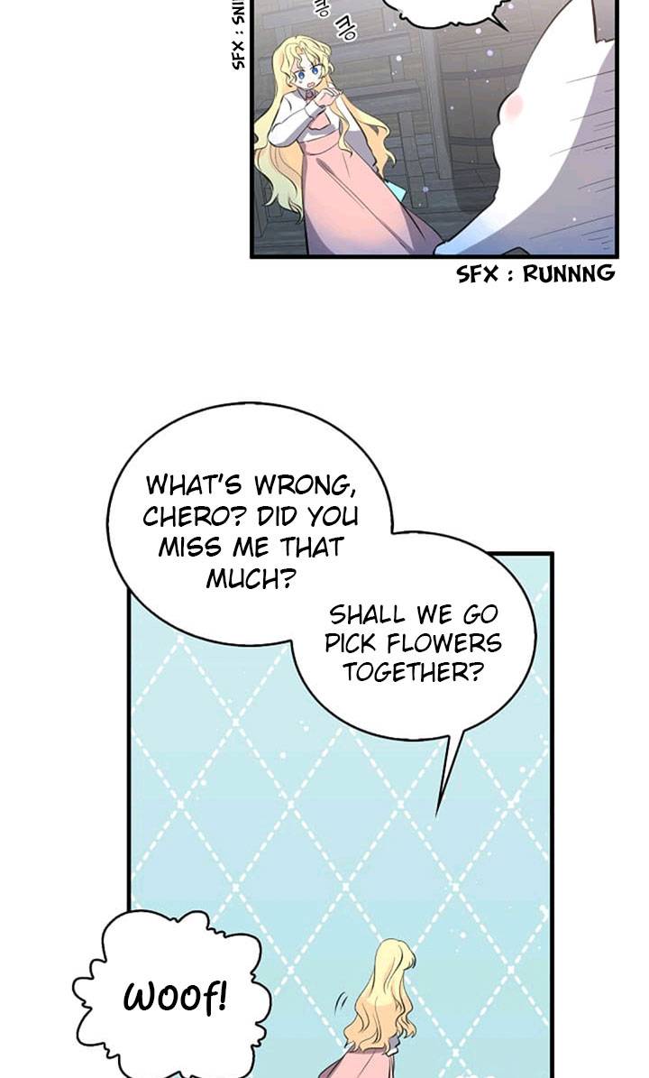 Page 5 of Chapter 41