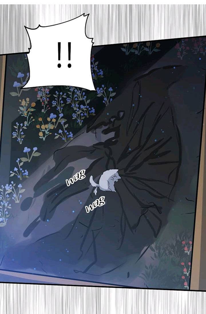 Page 17 of Chapter 41