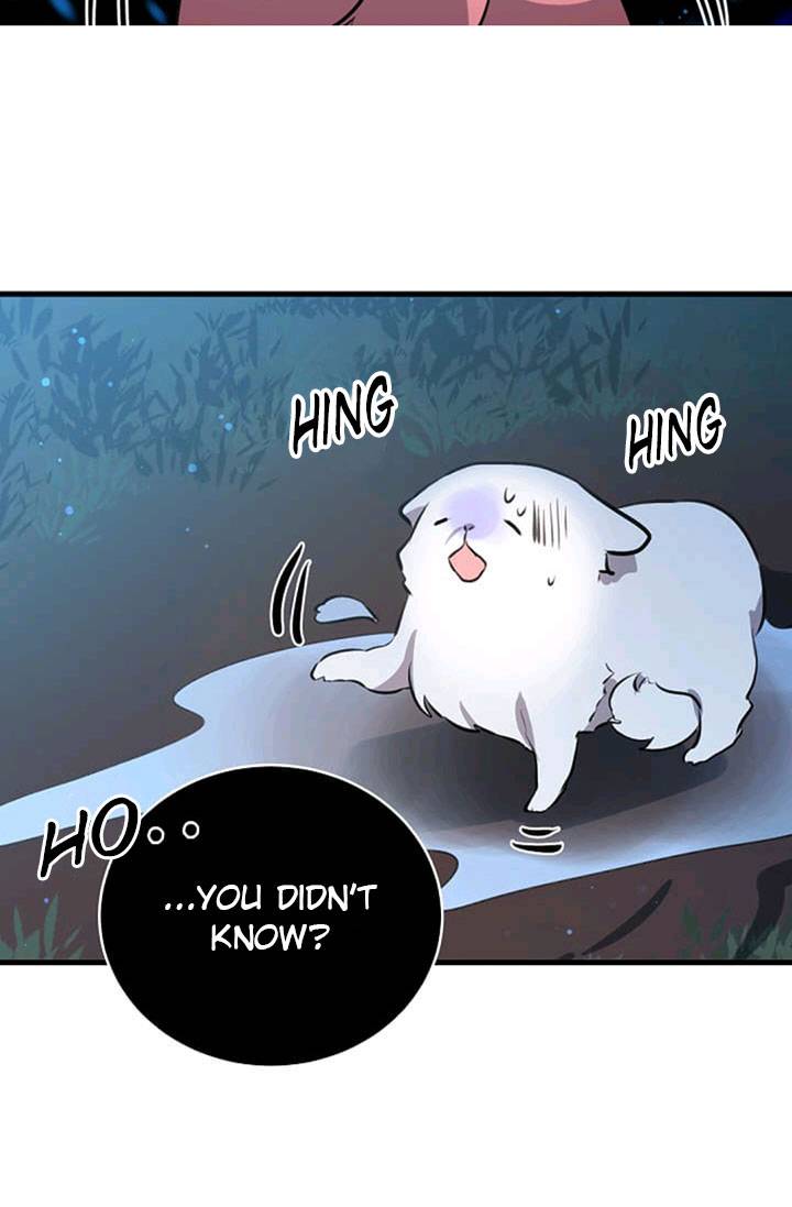 Page 23 of Chapter 41