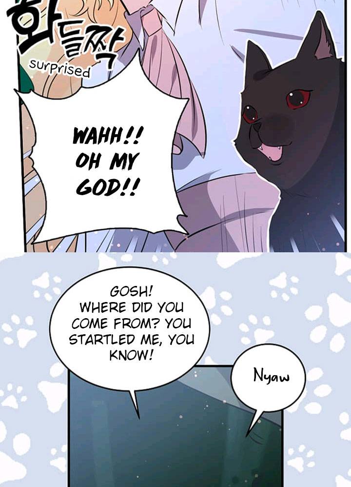 Page 31 of Chapter 41
