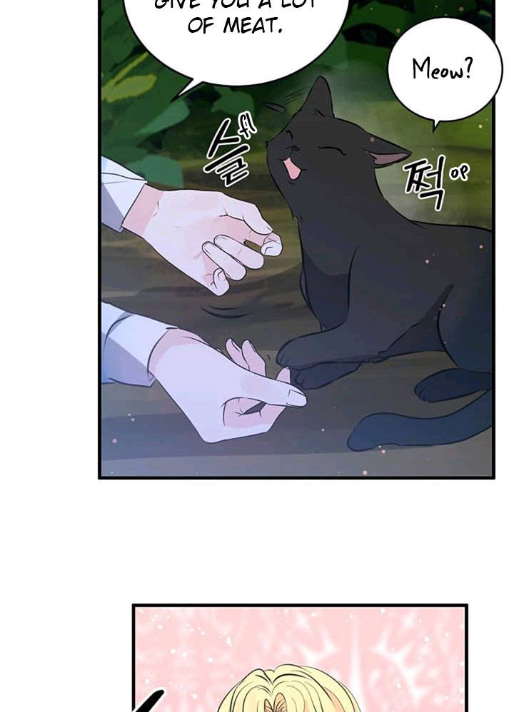 Page 33 of Chapter 41