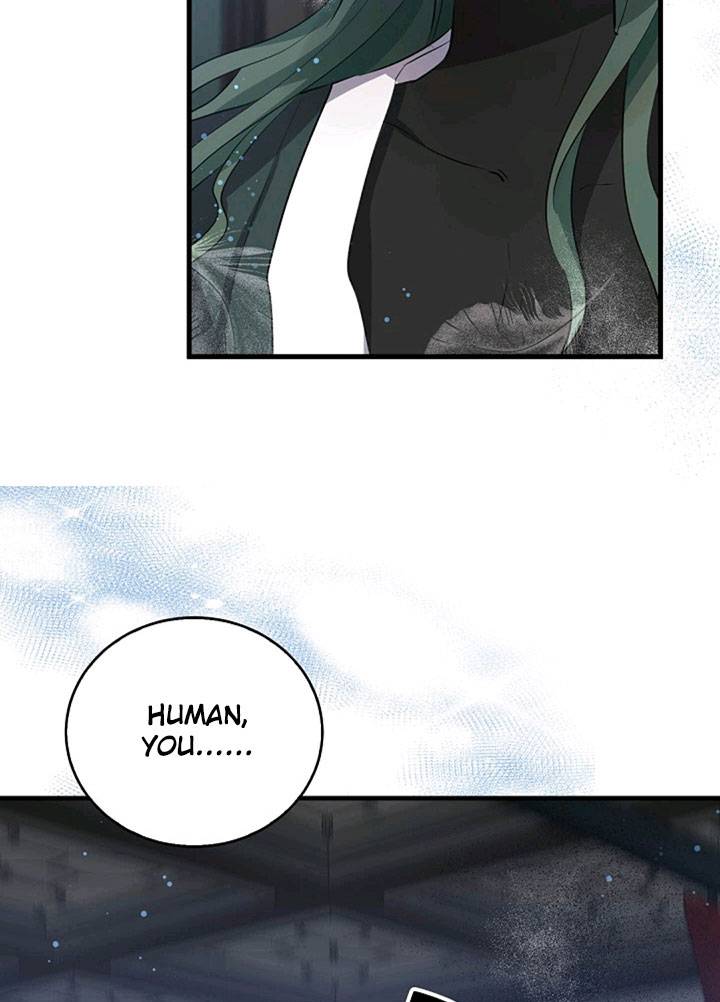 Page 36 of Chapter 42
