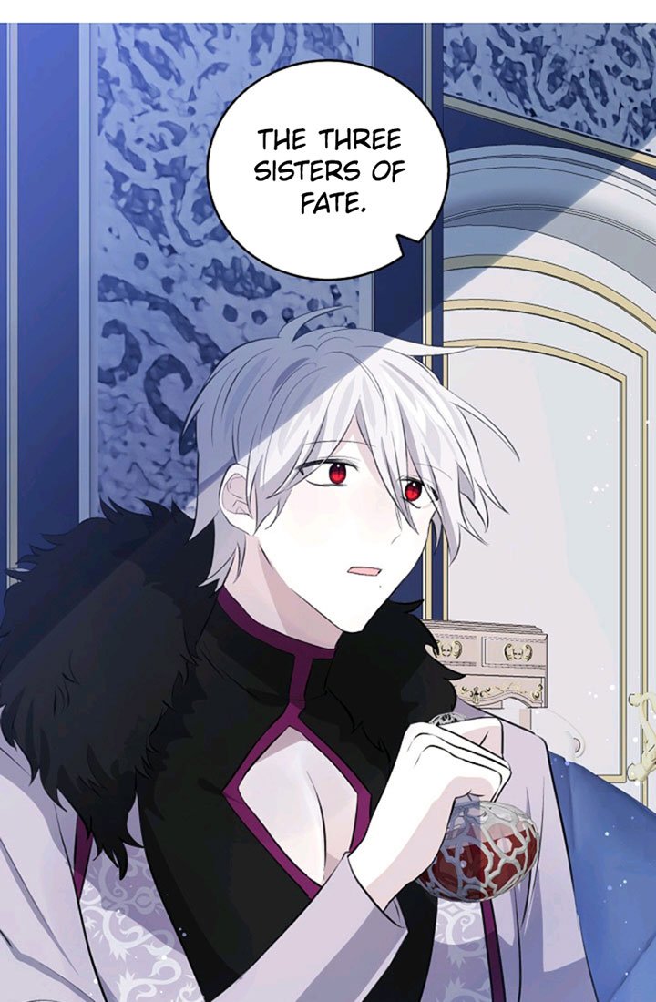 Page 43 of Chapter 62