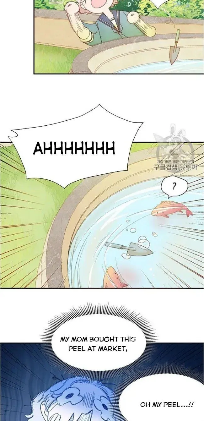 Page 4 of Chapter 5.5