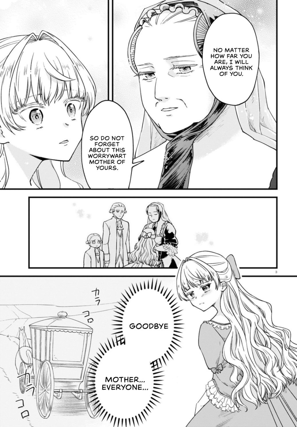 Page 3 of Chapter 2.1