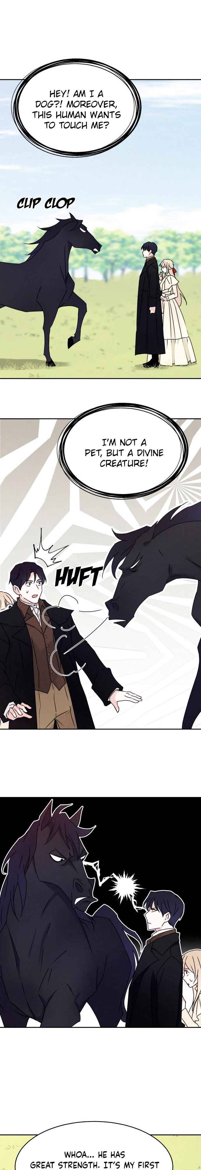 Page 13 of Chapter 11