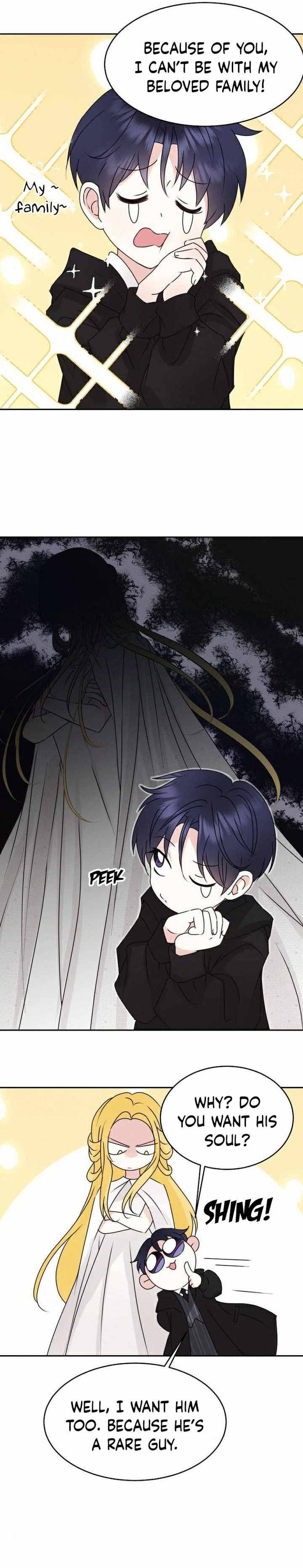 Page 4 of Chapter 20