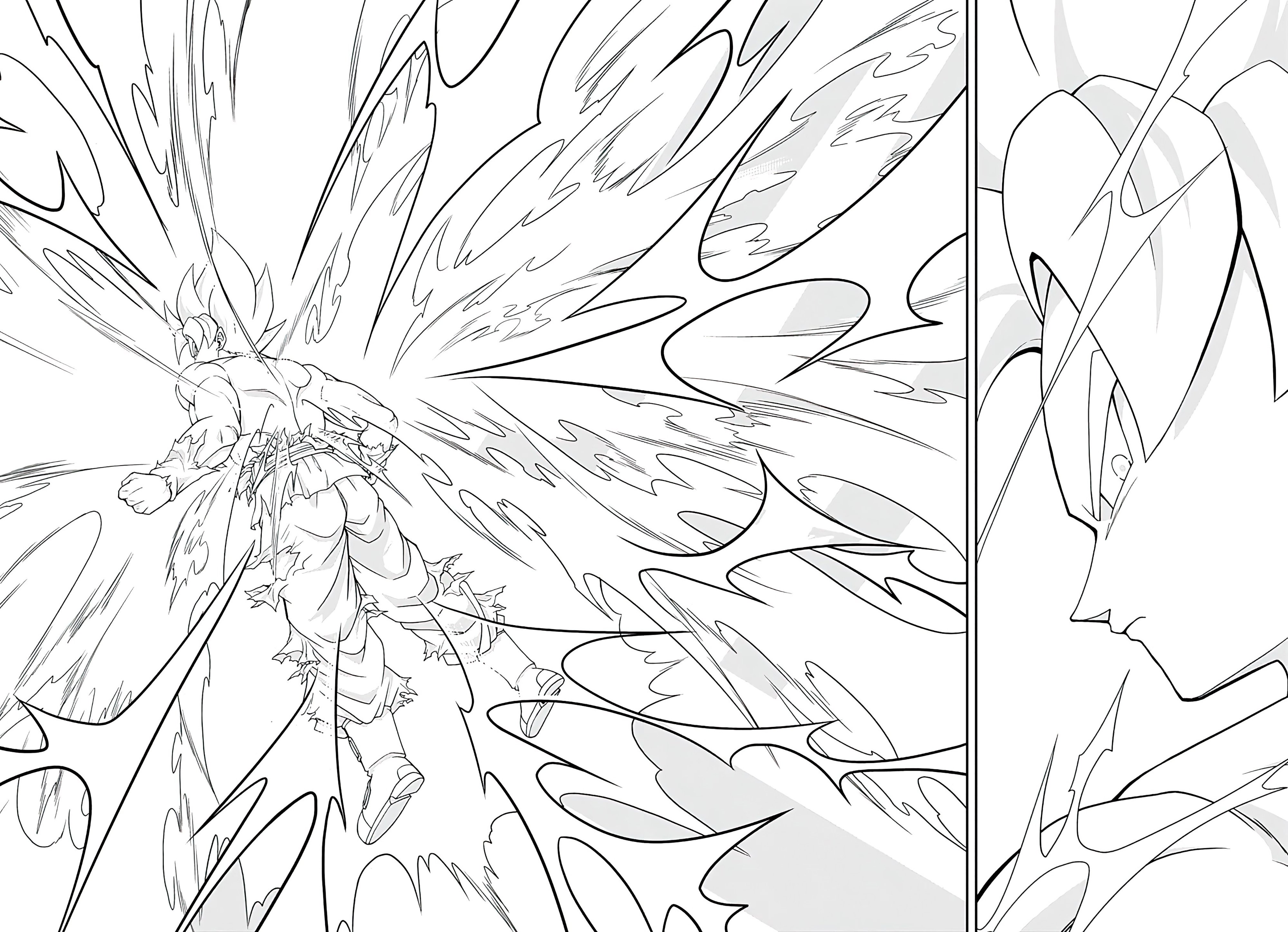 Page 13 of Chapter 15
