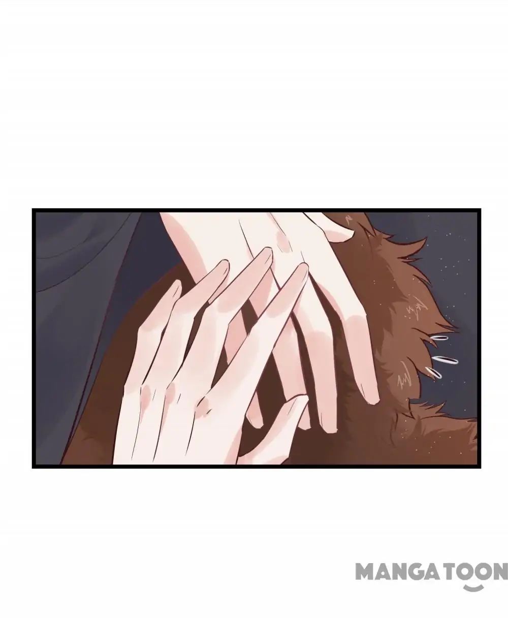 Page 41 of Chapter 104