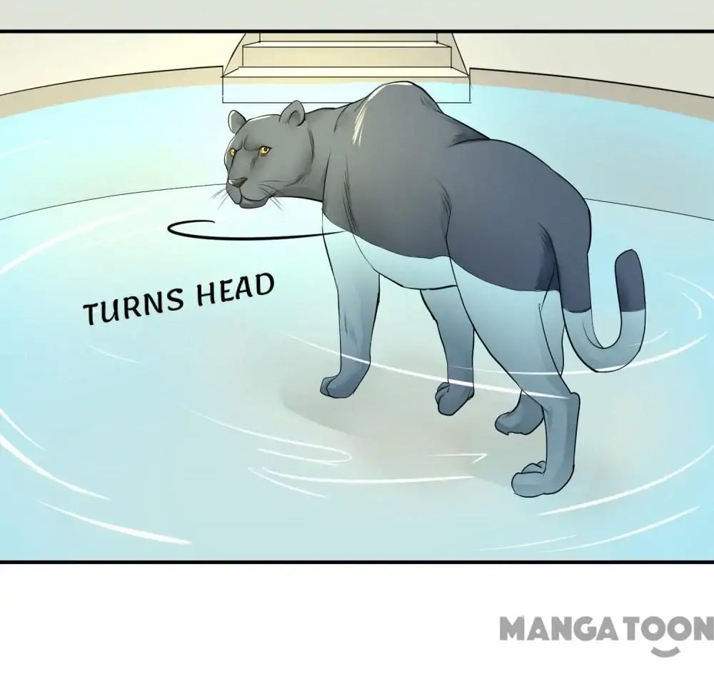Page 28 of Chapter 16