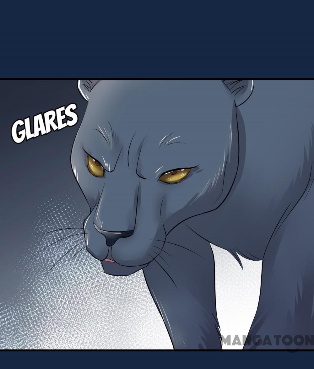 Page 26 of Chapter 37