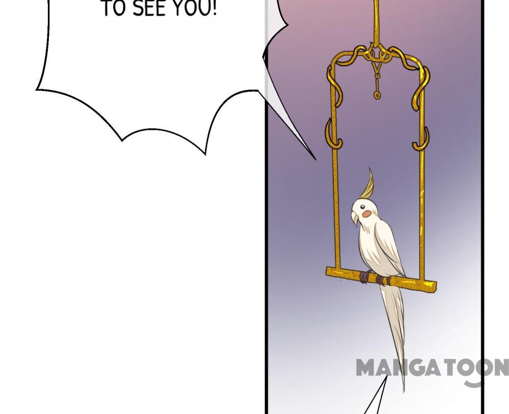 Page 29 of Chapter 43