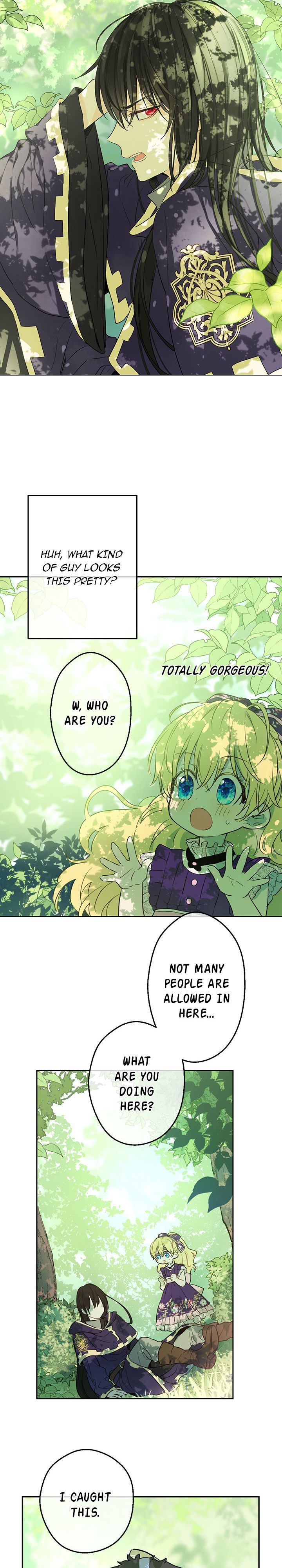 Page 5 of Chapter 17