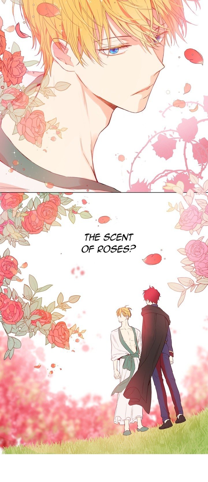 Page 20 of Chapter 48