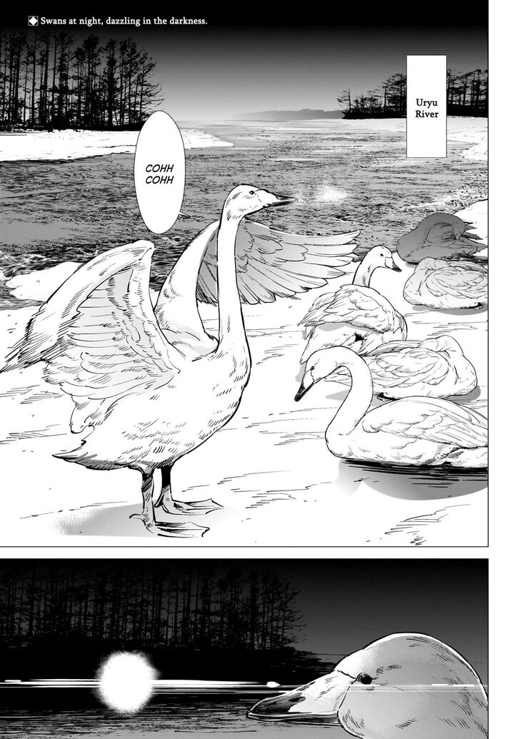 Page 2 of Chapter 224