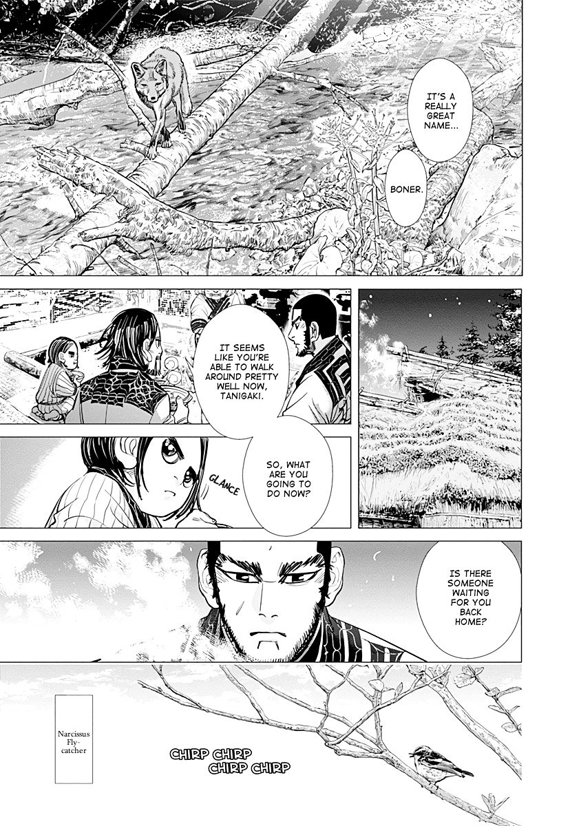 Page 13 of Chapter 74