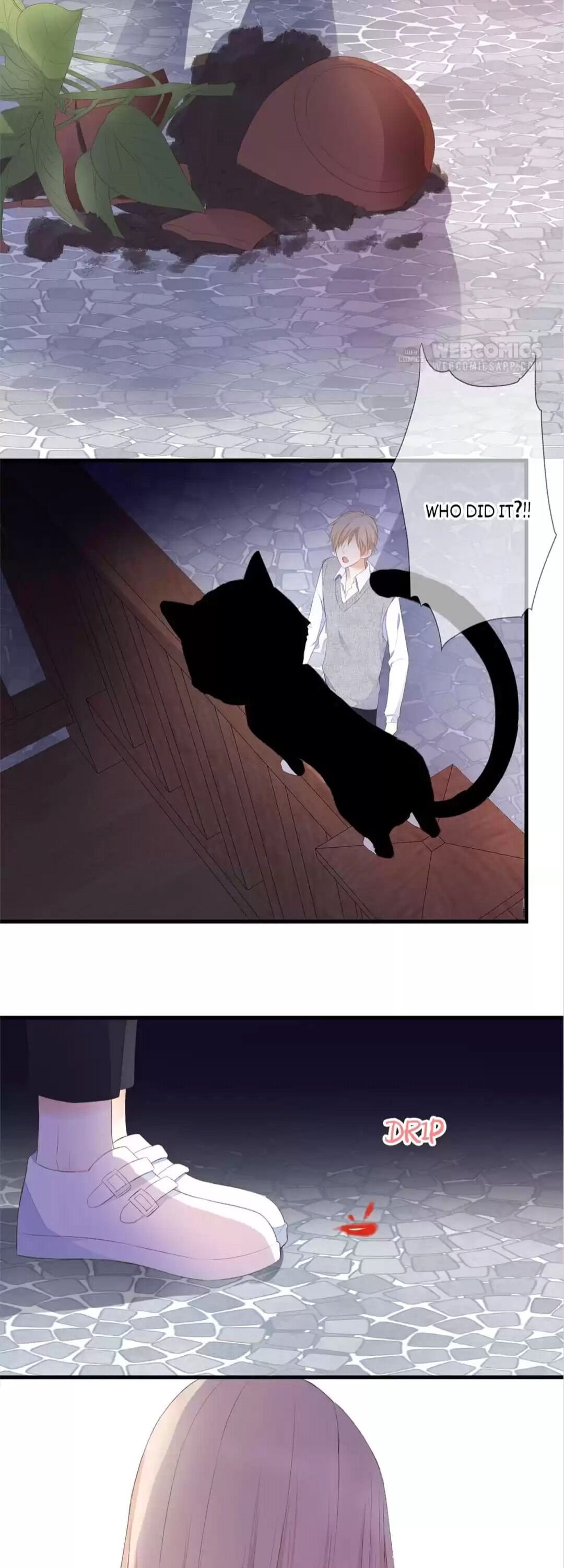 Page 21 of Chapter 67