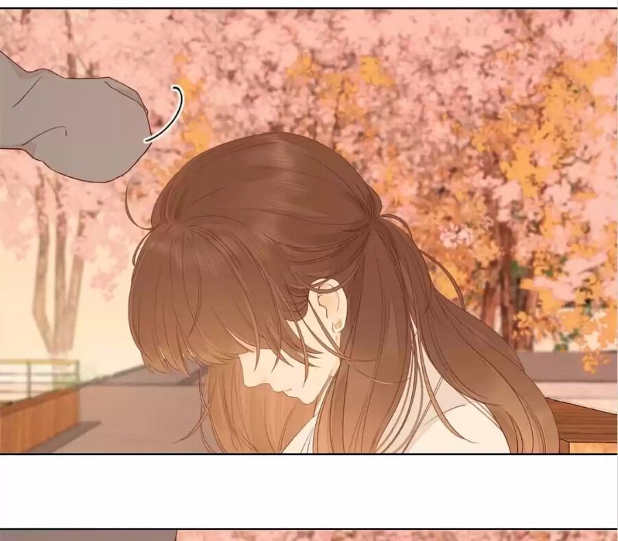Page 19 of Chapter 65