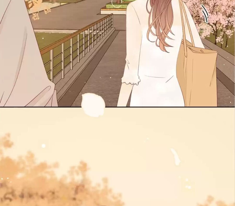 Page 6 of Chapter 66