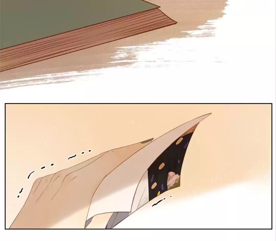 Page 82 of Chapter 66