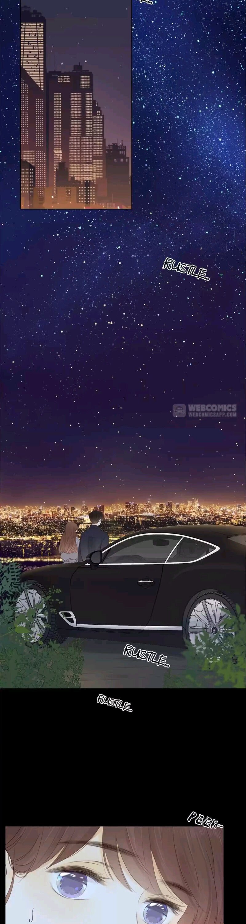 Page 13 of Chapter 91