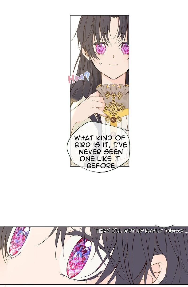 Page 5 of Chapter 10