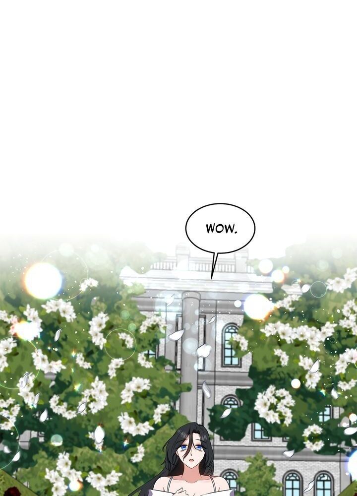 Page 19 of Chapter 11
