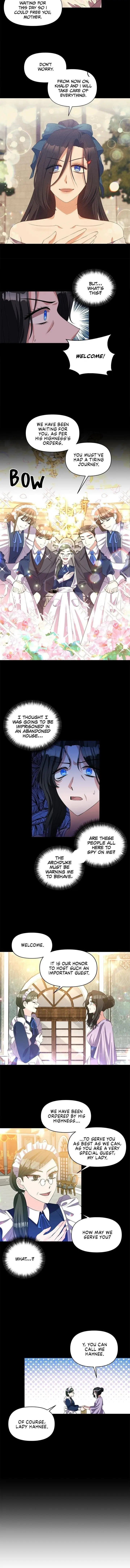 Page 7 of Chapter 25