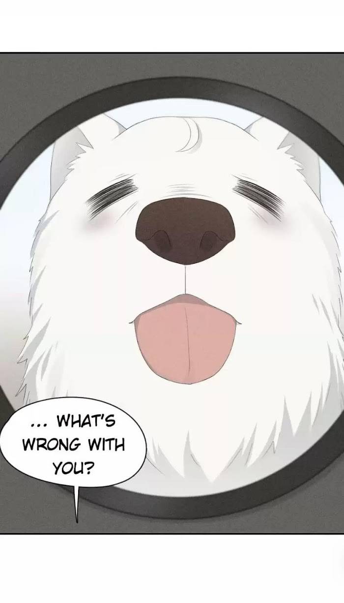 Page 30 of Chapter 104