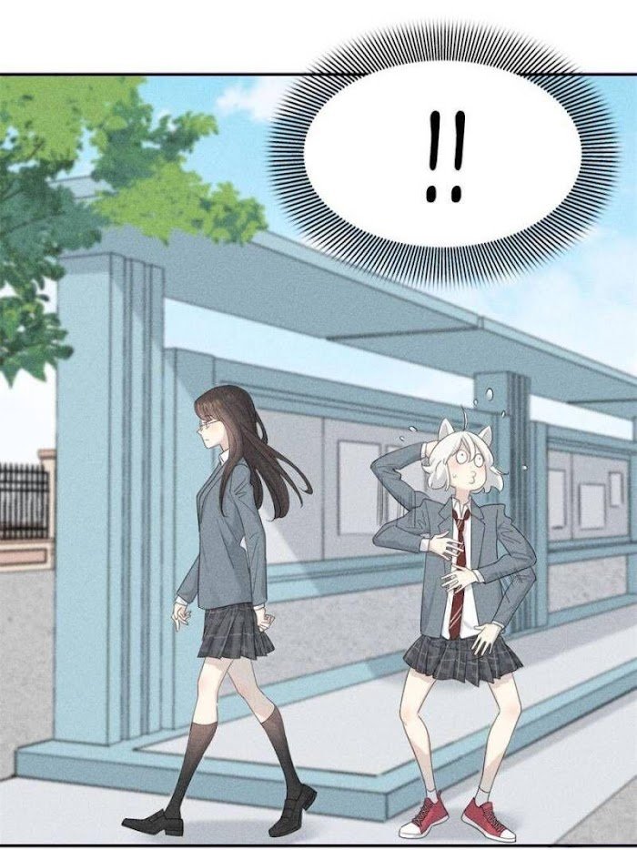 Page 40 of Chapter 125