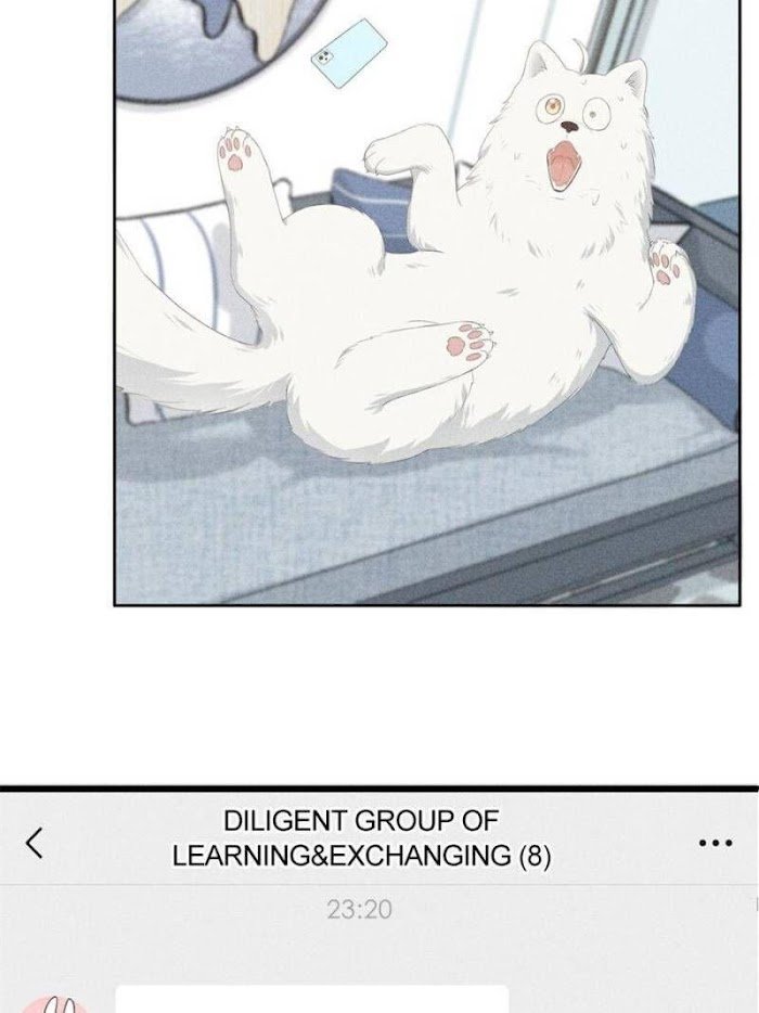 Page 54 of Chapter 125
