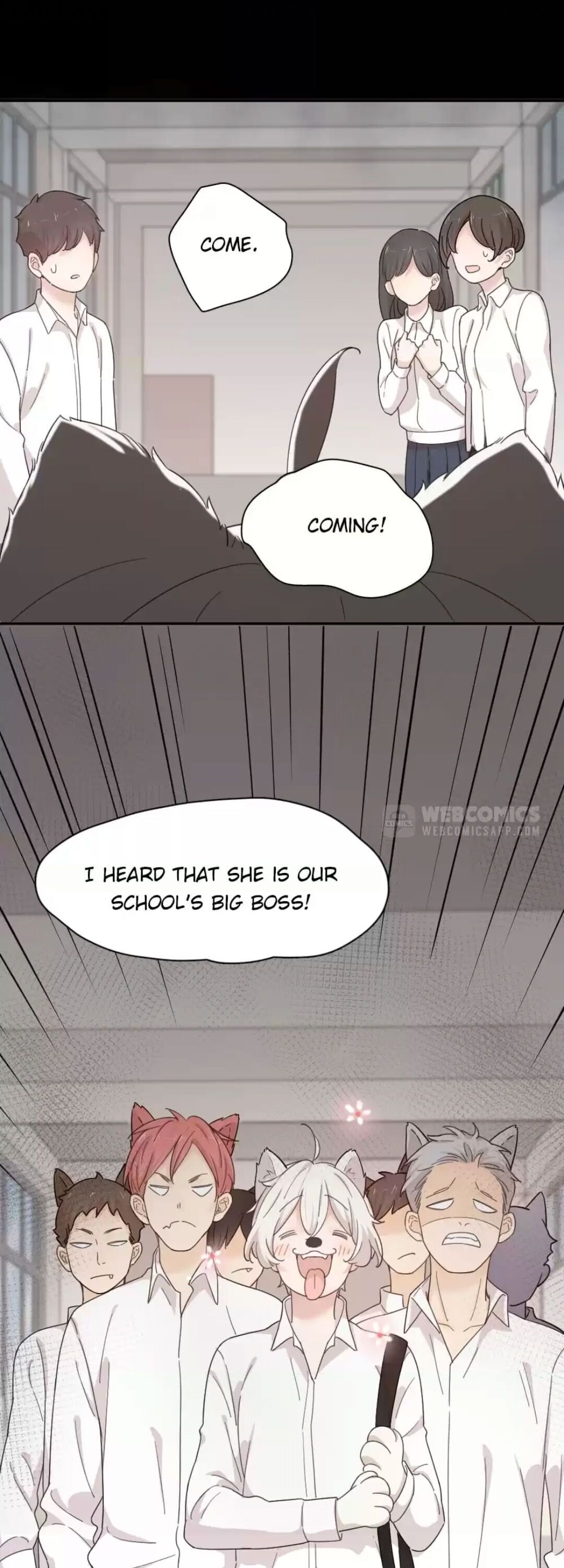 Page 14 of Chapter 26