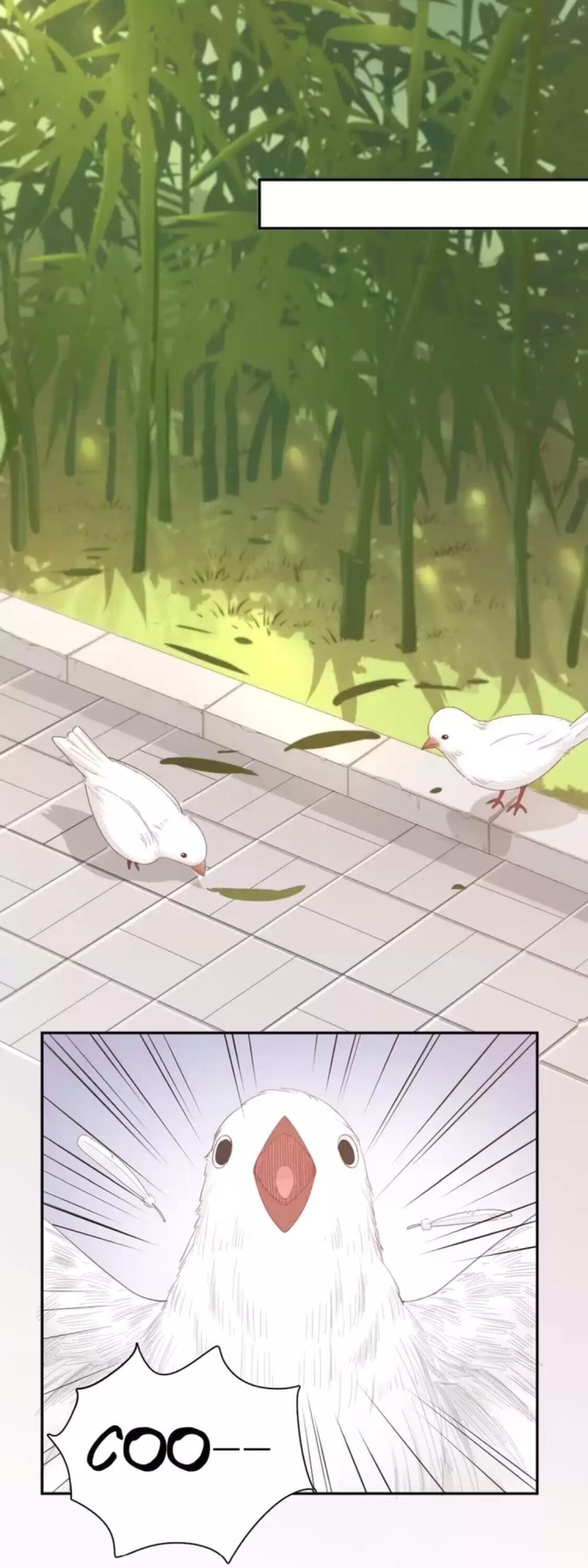 Page 12 of Chapter 39