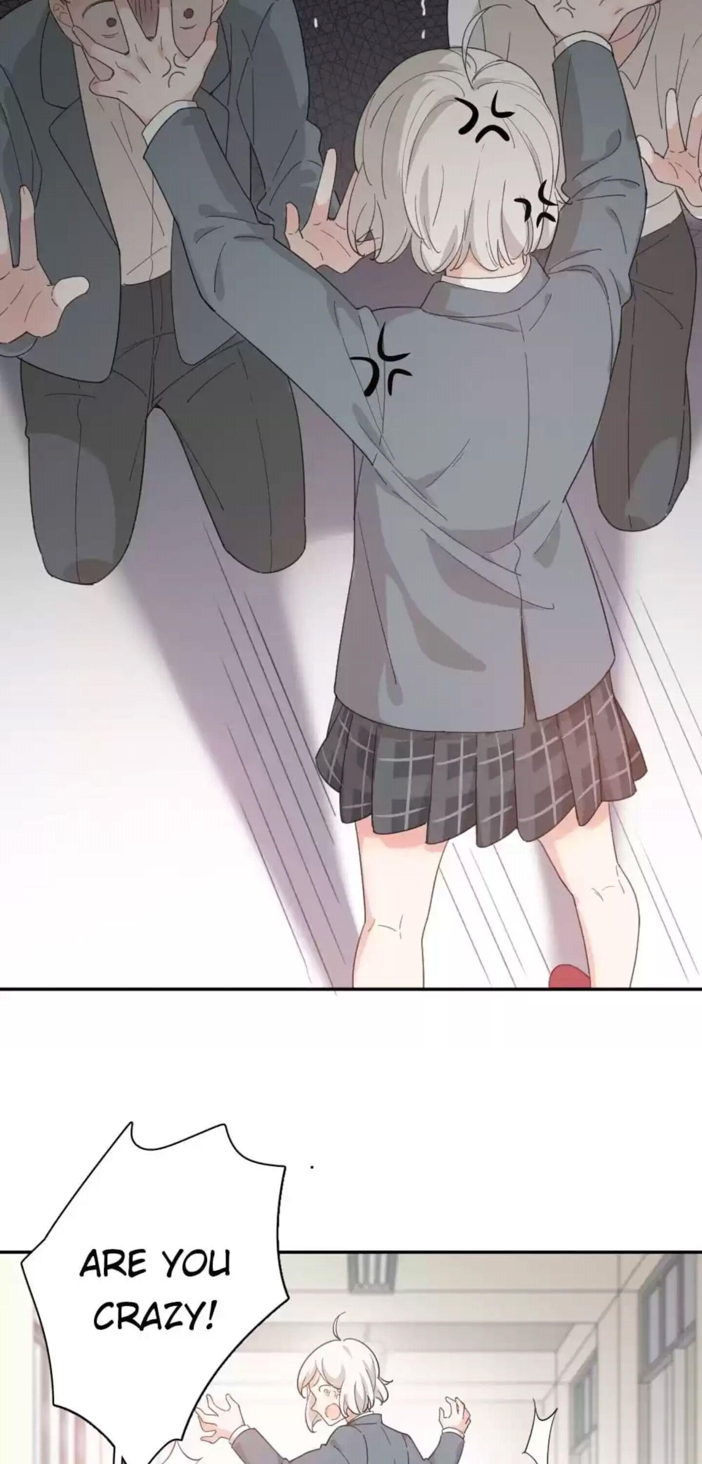 Page 23 of Chapter 41