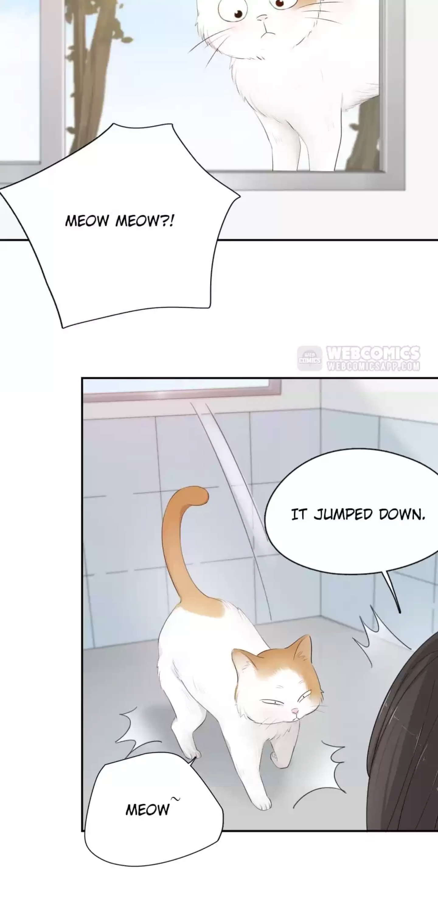 Page 29 of Chapter 54
