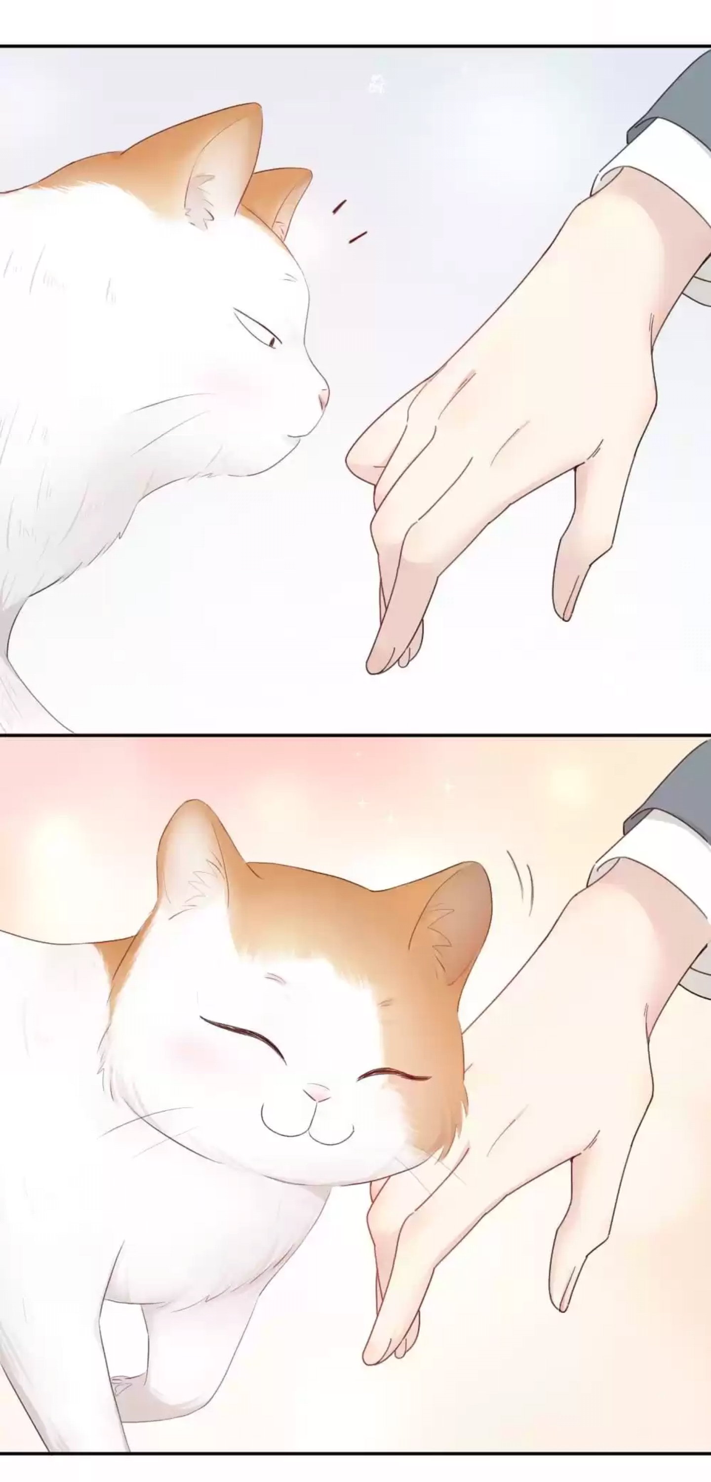 Page 30 of Chapter 54