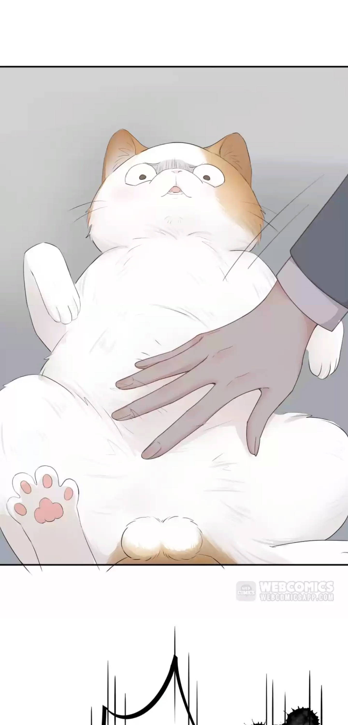 Page 32 of Chapter 54