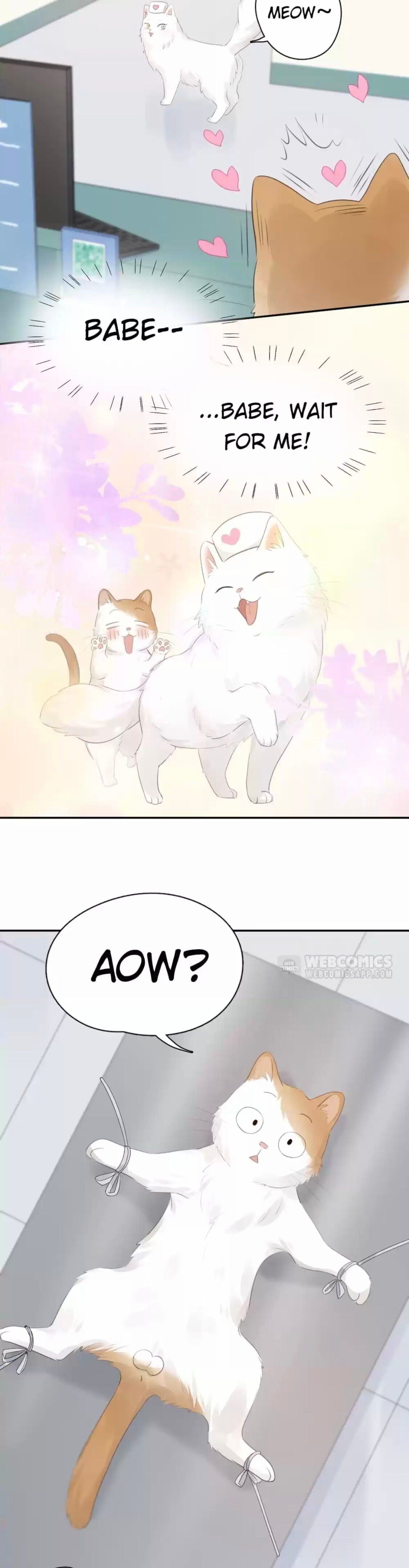 Page 20 of Chapter 87