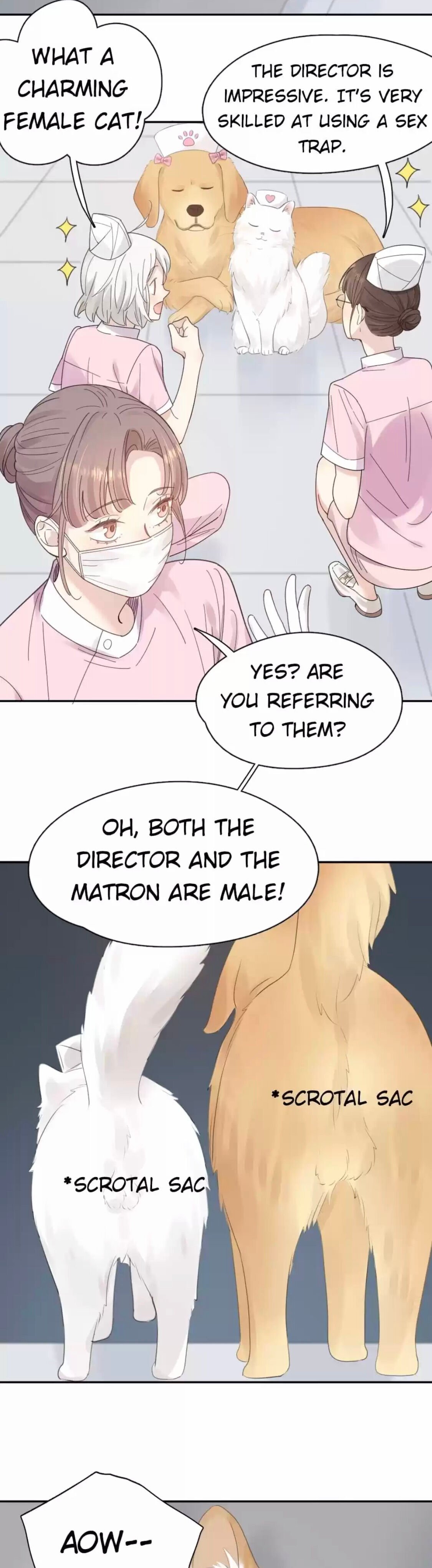 Page 21 of Chapter 87