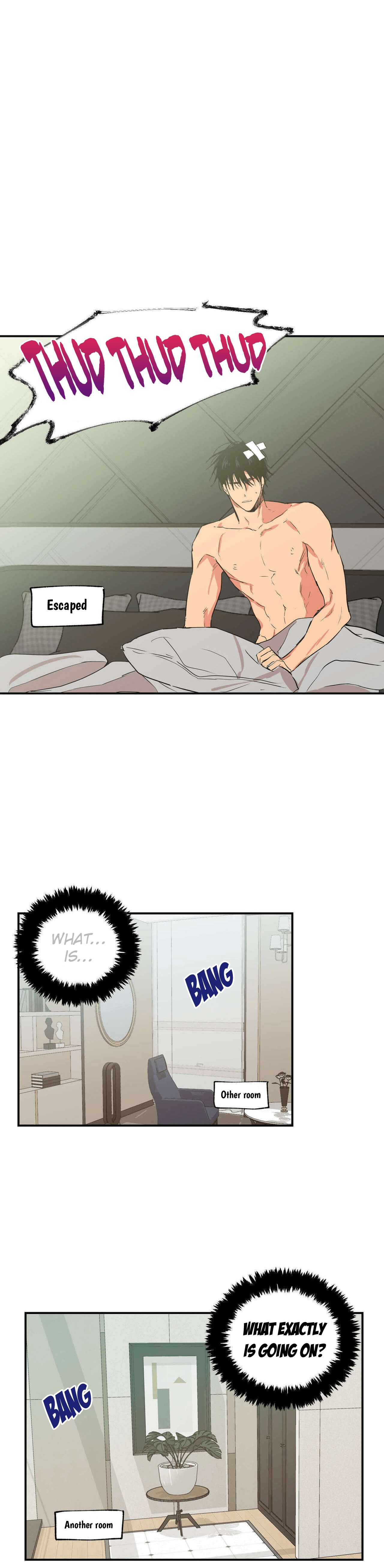 Page 5 of Chapter 17