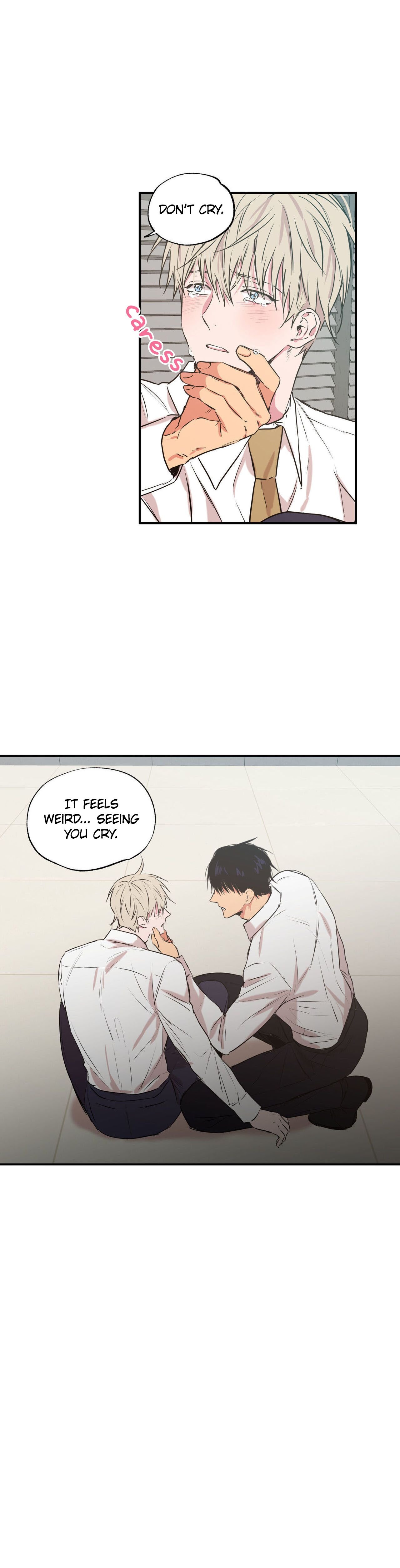 Page 17 of Chapter 21