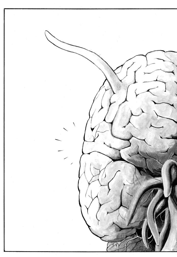 Page 3 of Chapter 11