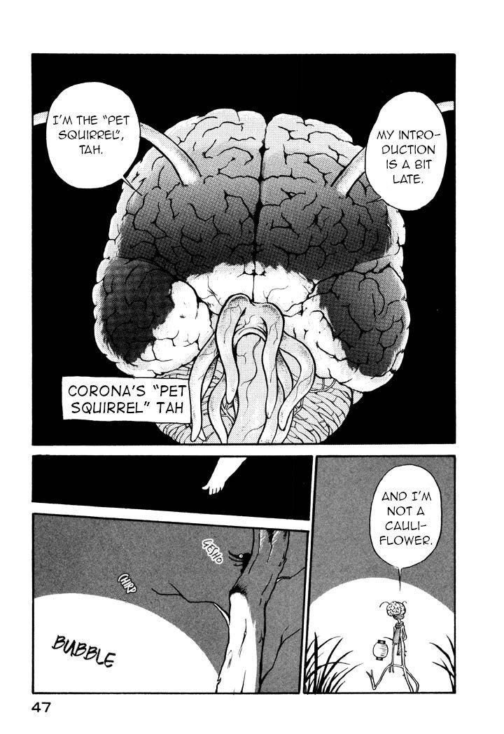 Page 5 of Chapter 3