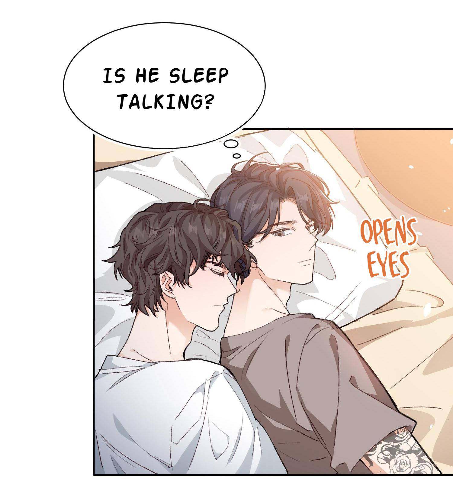Page 6 of Chapter 17