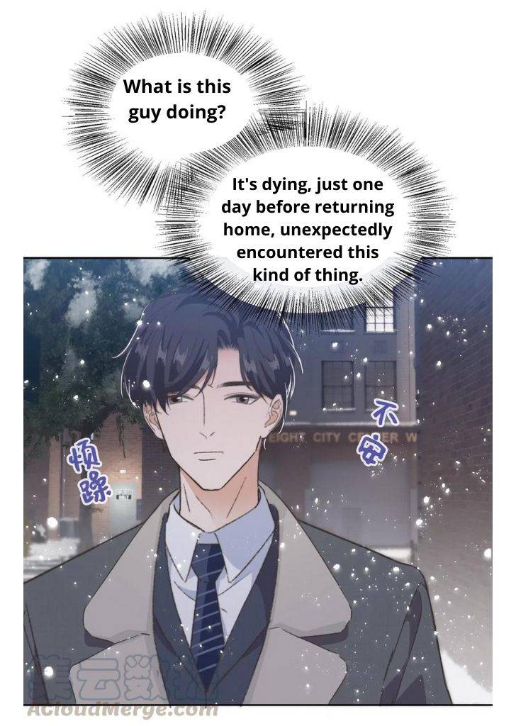 Page 14 of Chapter 19